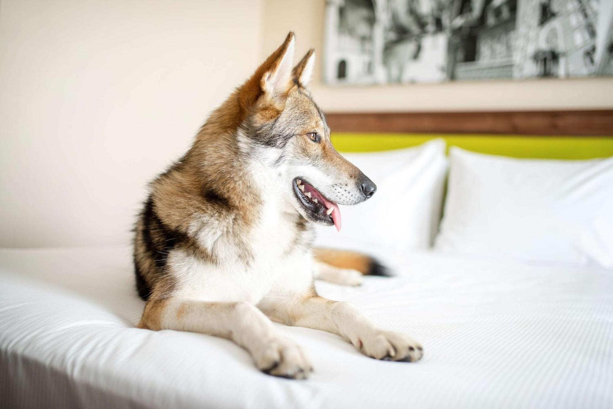Hampton By Hilton 3*